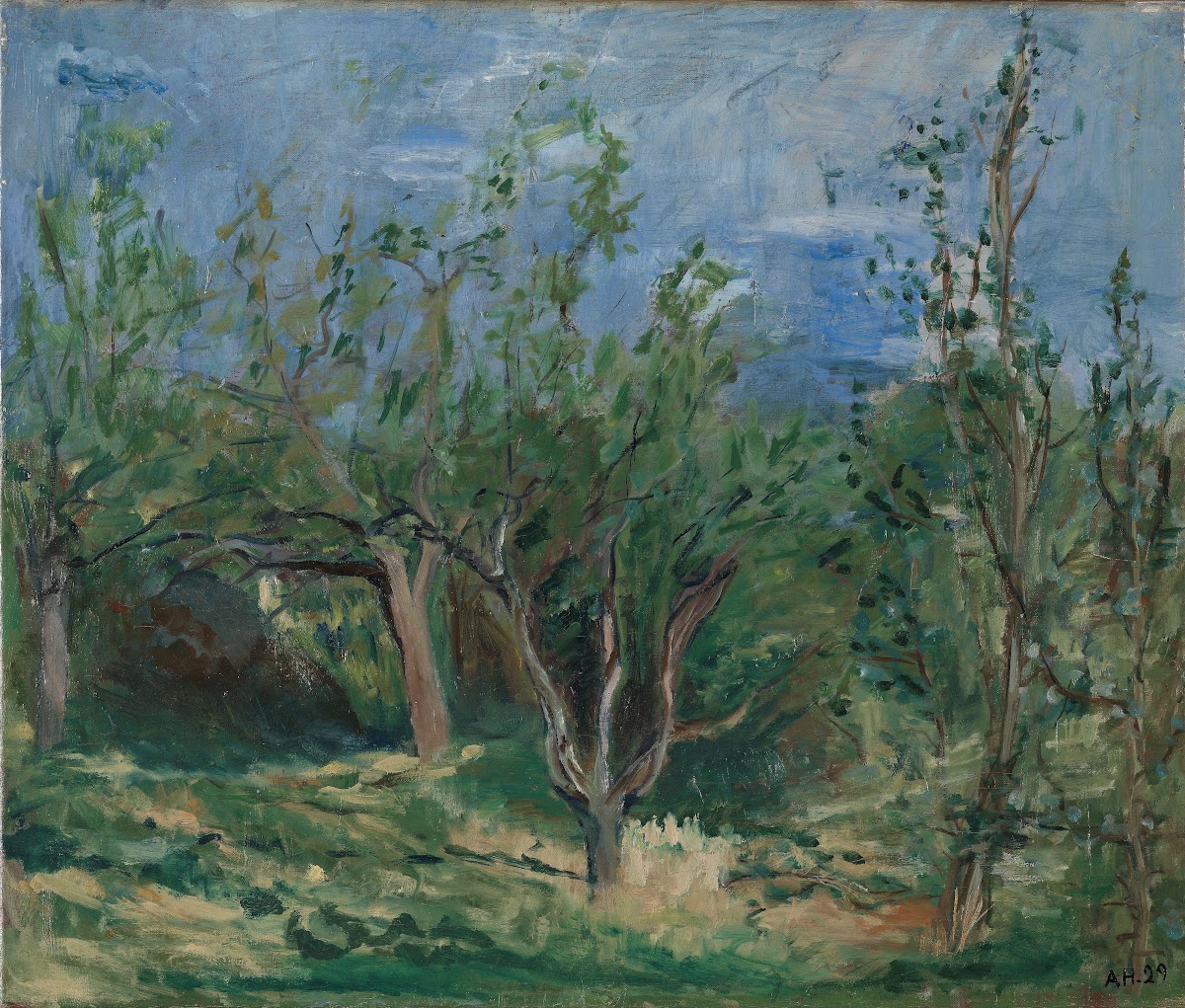 Old Apple Trees 1929