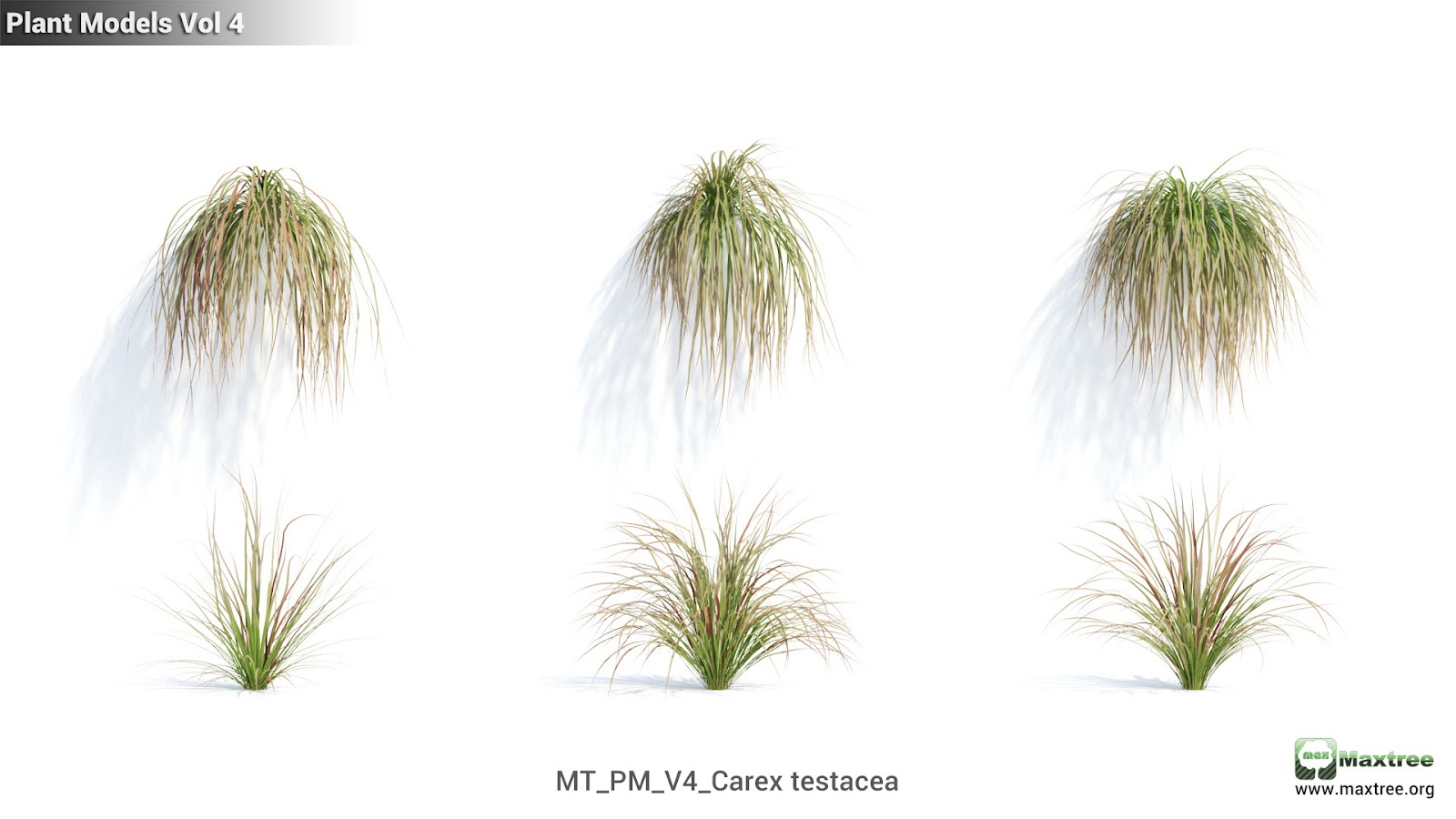 Maxtree - Plant Models Vol.4