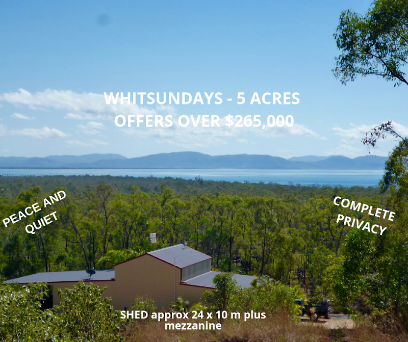 Midge Point, QLD, 4799 realty