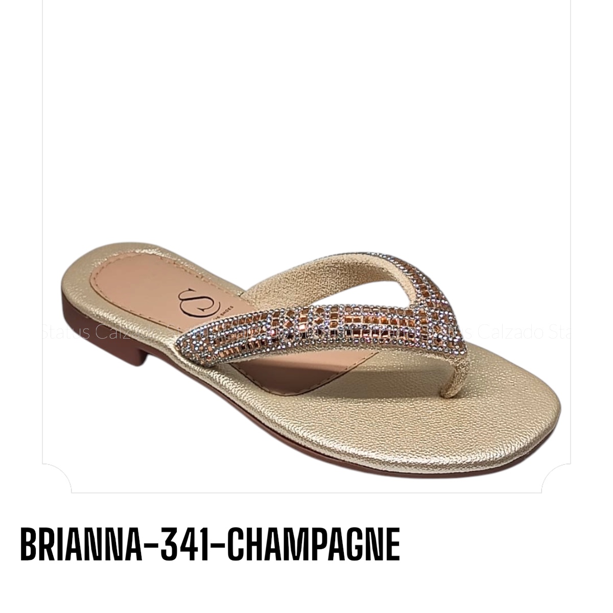 BRIANNA-341-CHAMPAGNE