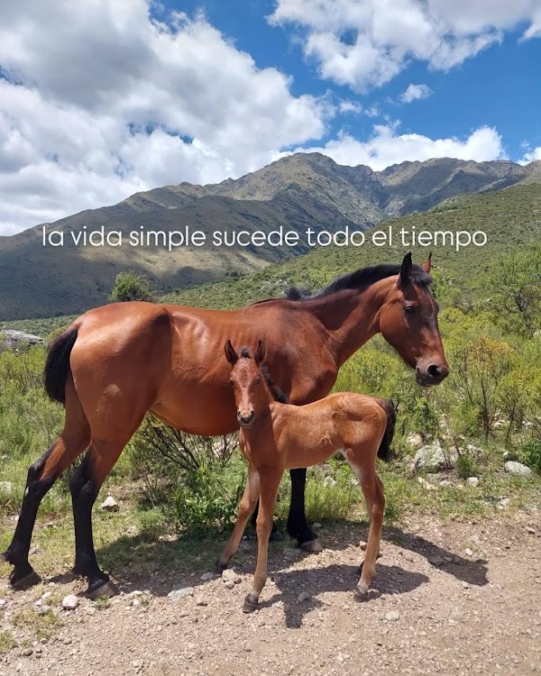 Finde Largo de experiencias