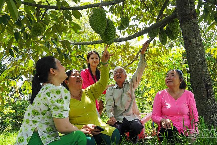 Người giữ đất rừng U Minh - Báo Cà Mau