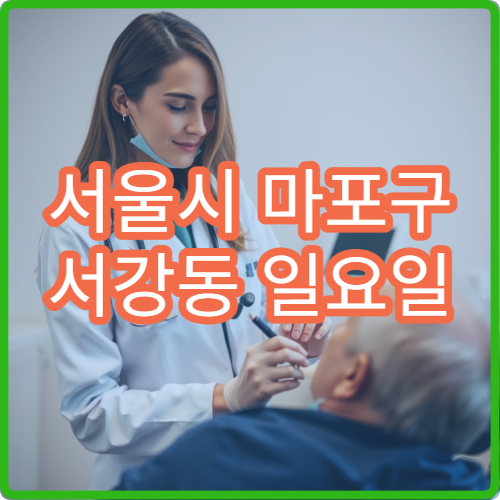 서울시 마포구 서강동 일요일 약국 문 여는 곳 확인 및 운영 안내