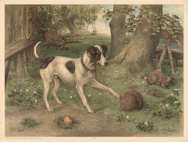 Dog and hedgehog 1880