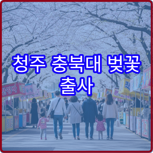 청주 충북대 벚꽃 출사 황금 시간 사진작가 추천 스팟 TOP