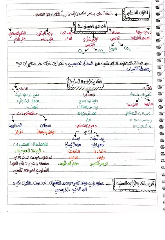 صورة الغلاف