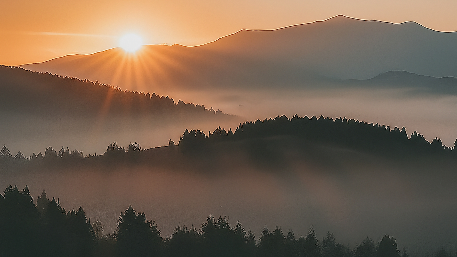 AI 생성 이미지: 서비스 메쉬 도입 시 트래픽 정책과 성능 고려사항