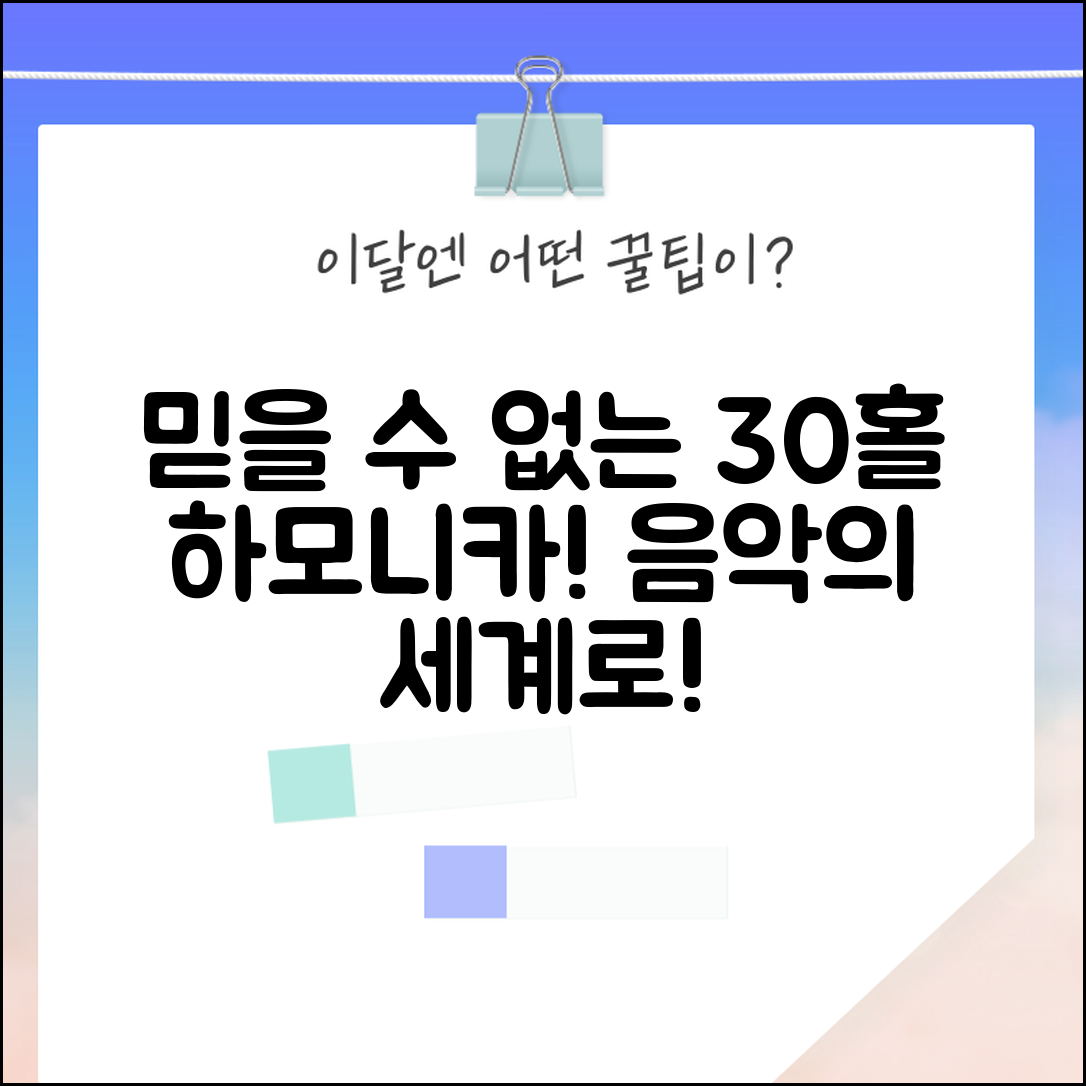 믿을 수 없는 30홀하모니카 추천, 음악의 세계로!