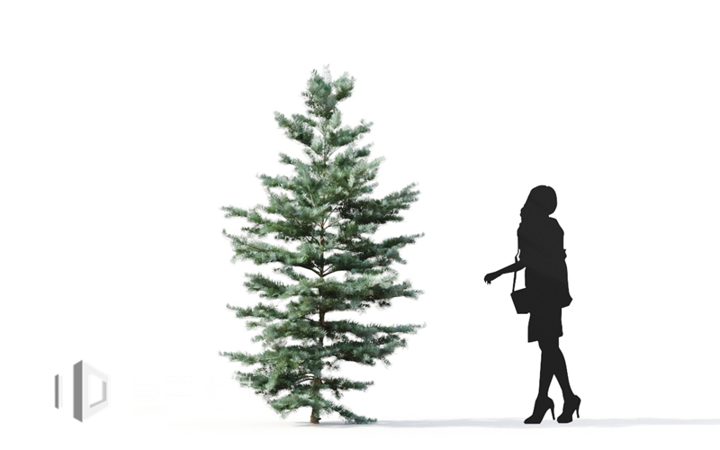 Maxtree - Plant Models Vol.9