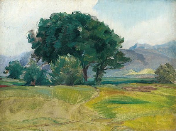 Baumgruppe im Harrasser Moor 1919
