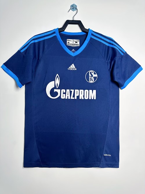 La campaña del Schalke como visitante en la temporada 2010-11.jpeg