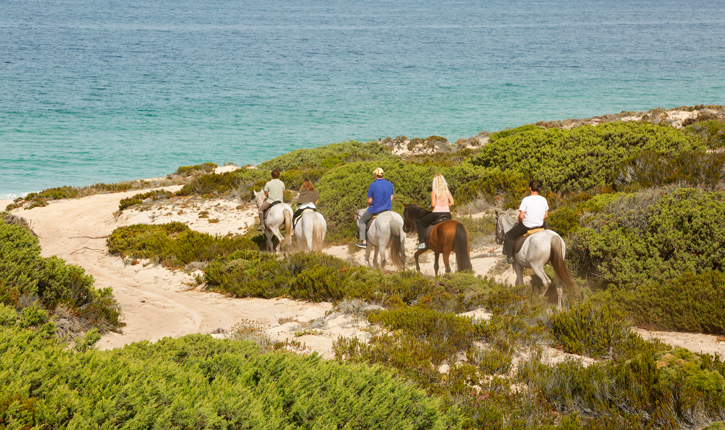 8-Day Journey: Lisbon to Golegã's Equestrian Majesty