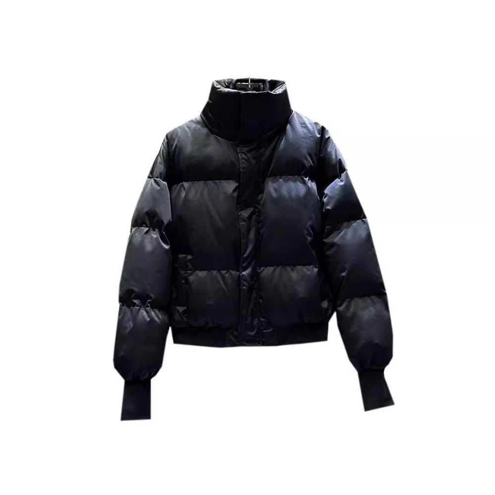 Men's winter jacket, stand-up collar, padded, short
