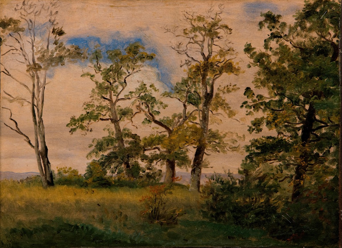 Landscape with free standing trees