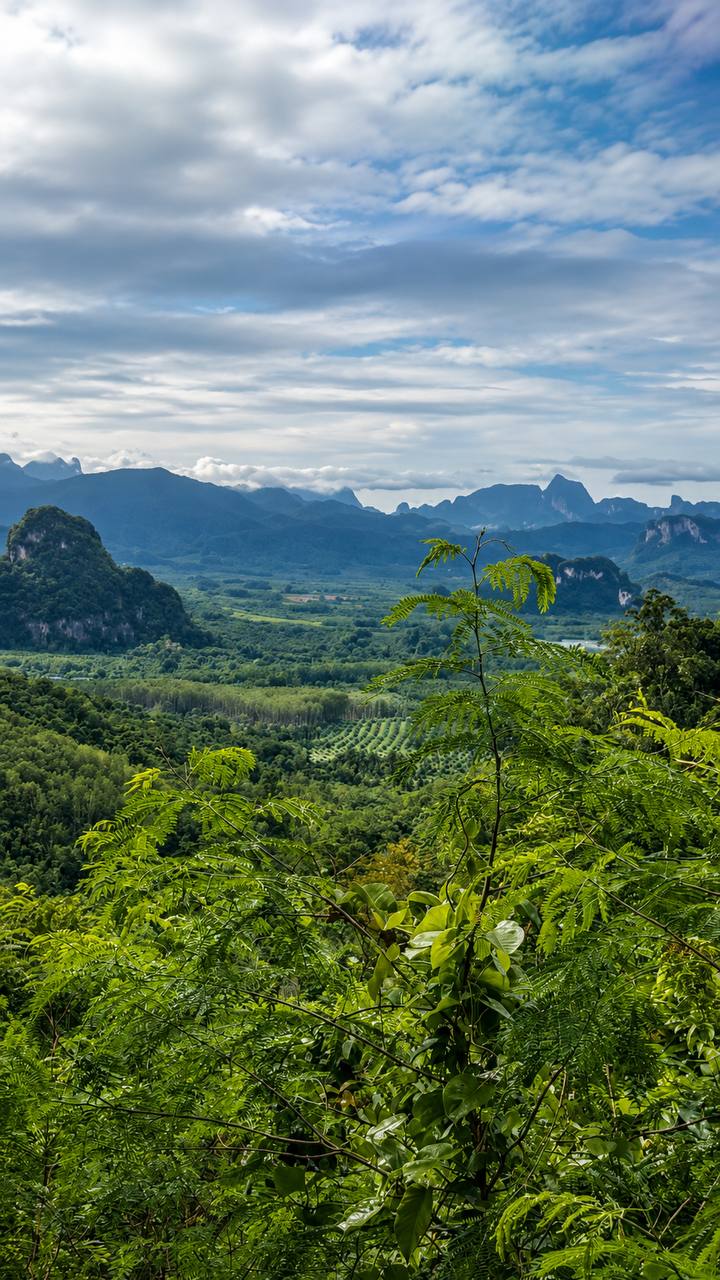 KHAO SOK + CHEOW LAN LAKE DELUXE BUNGALOWS (2 DAYS - 1 NIGHT TRIP) 4