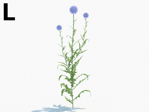 Maxtree - Plant Models Vol.3