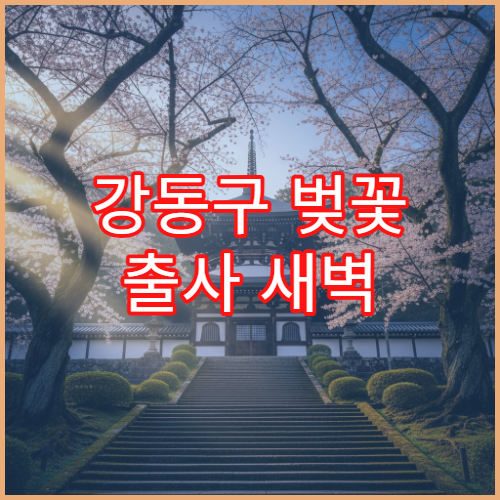 강동구 벚꽃 출사 새벽 6시 고덕천 터널 사진작가 명소