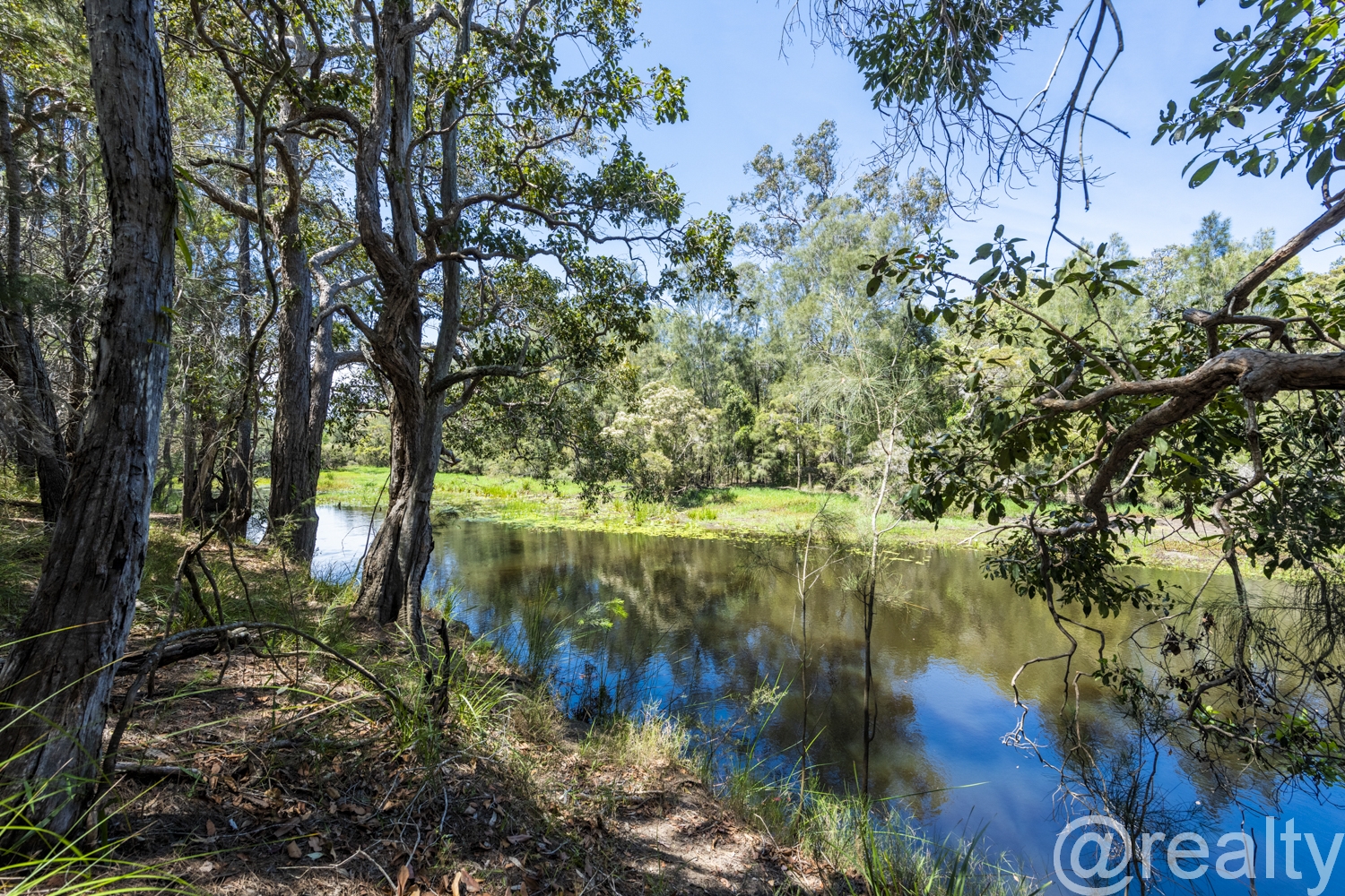 Lot 2 / 931 Eight Mile Lane, Sandy Crossing, NSW 2460, Sandy Crossing - Thumbnail 5