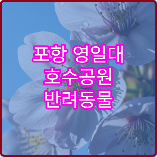 포항 영일대 호수공원 반려동물 산책 허용 구역 호수 배경 안전 코스