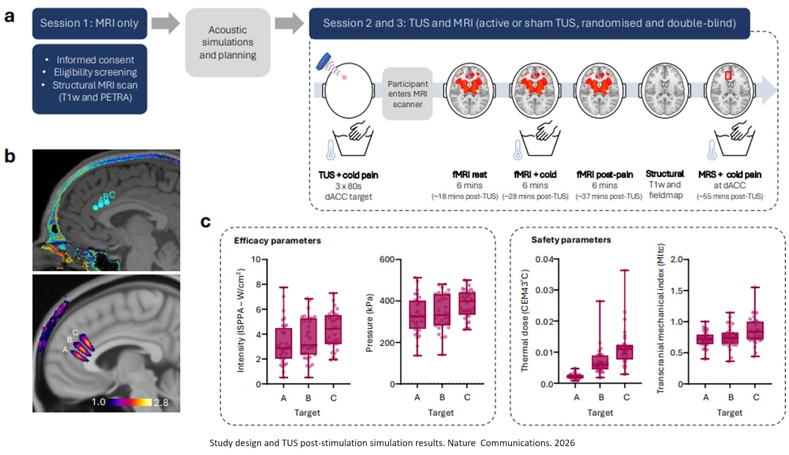 Multi-focal ultrasound neuromodulation to the dorsal anterior cingulate cortex disrupts behavioural and neural pain processing