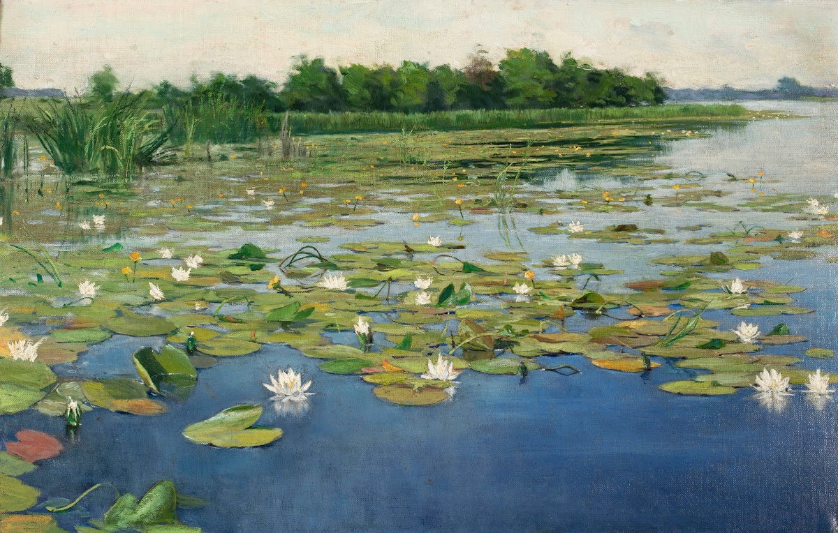 Water lilies from 1903 until 1905