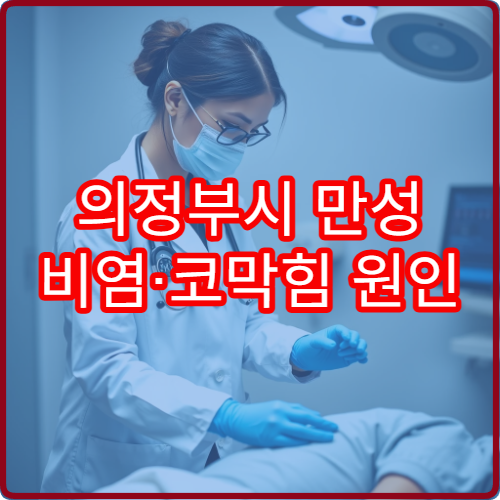 의정부시 만성 비염·코막힘 원인 분석과 치료 병원 정보