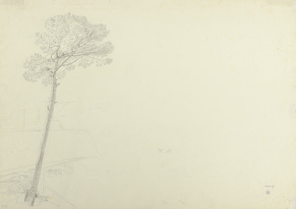 Tree in a landscape
