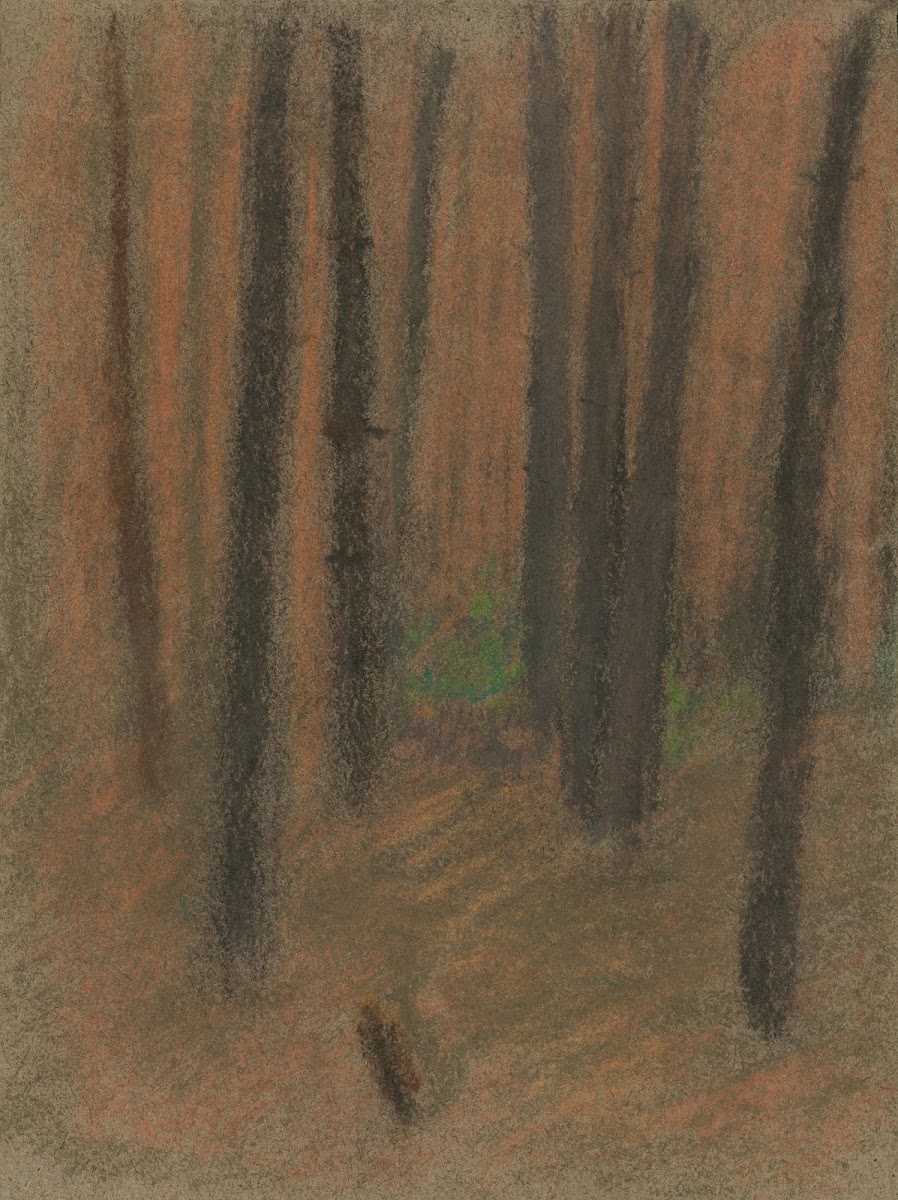 Forest 18751885