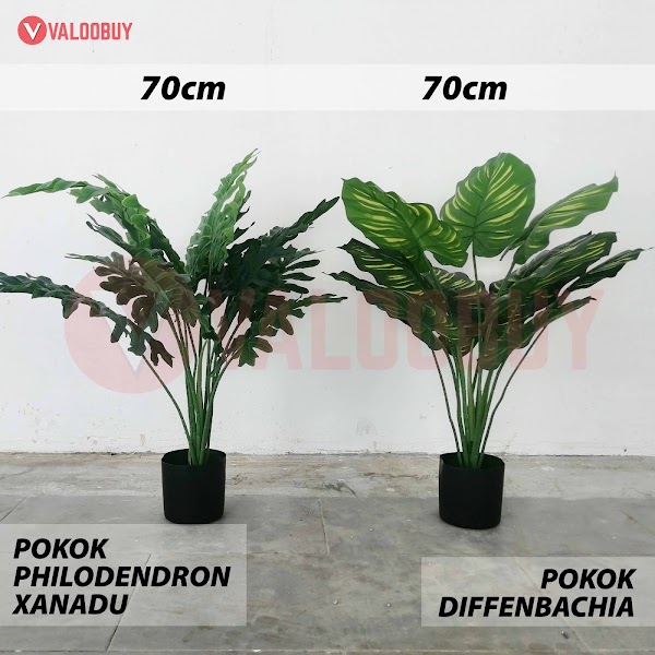 Pokok Diffenbachia Pokok Tiruan Hiasan