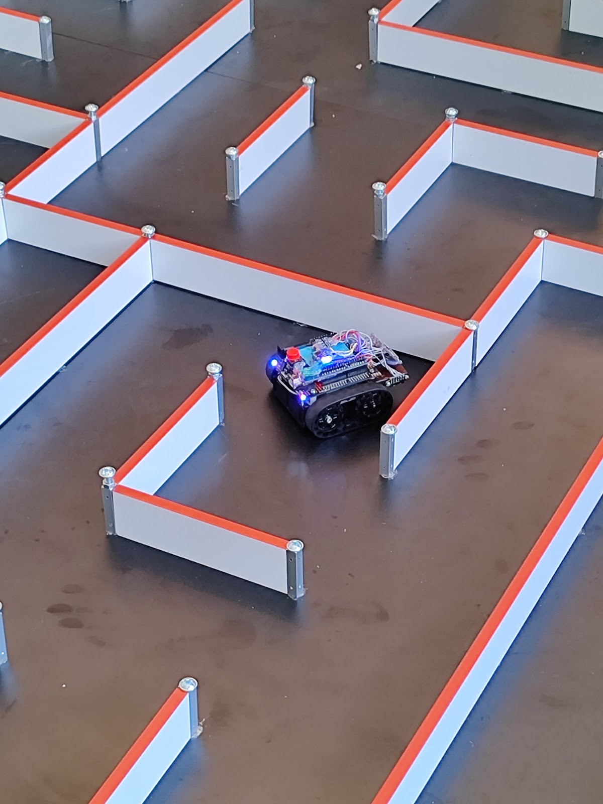 Robo Intelligence