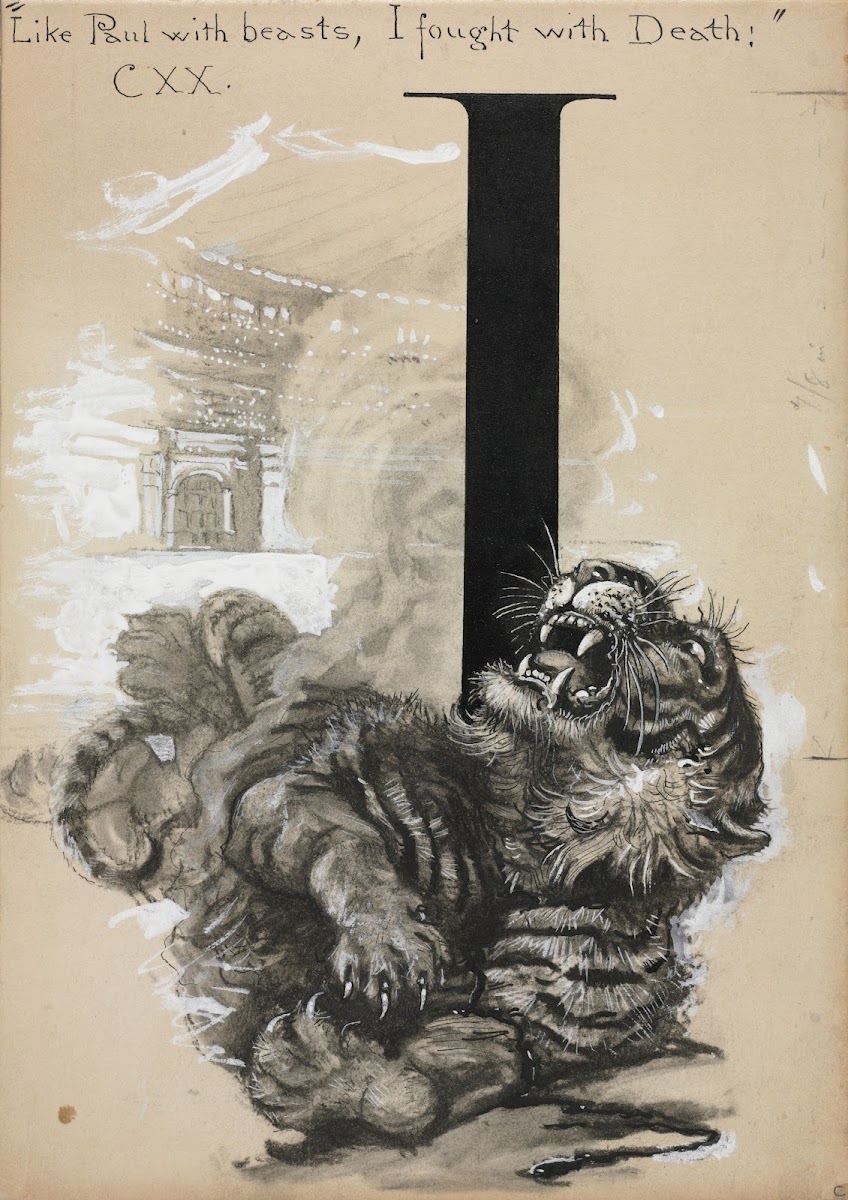 Tiger before 1897