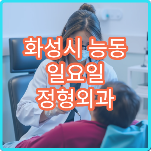 화성시 능동 일요일 정형외과 병원 안내 주말 진료 정형외과 위치