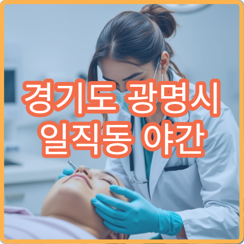 경기도 광명시 일직동 야간 이비인후과 진료 병원