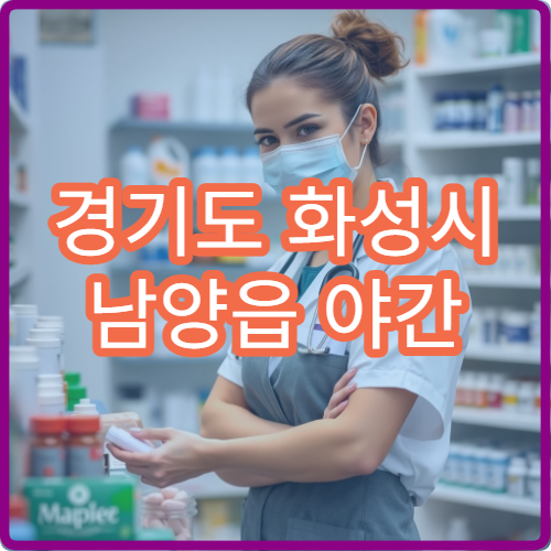 경기도 화성시 남양읍 야간 내과 화성시청 인근 야간 진료