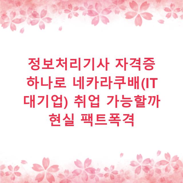 정보처리기사 자격증 하나로 네카라쿠배(IT 대기업) 취업 가능할까 현실 팩트폭격
