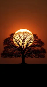 Contemporary Architecture Glass Facade