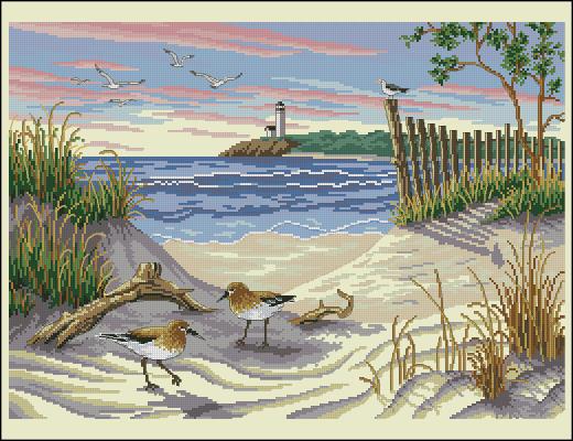 CMP 290011 Seagulls And Beach