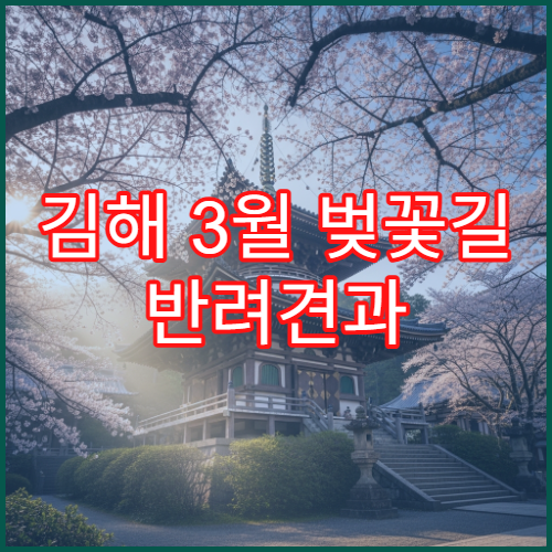 김해 3월 벚꽃길 반려견과 함께 걷기 좋은 산책로