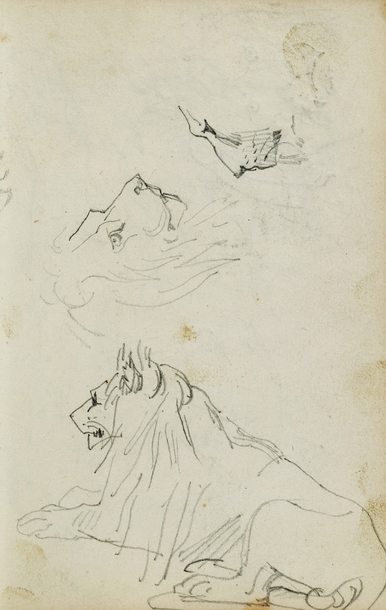 Seated lion two lion head studies 1812   1814