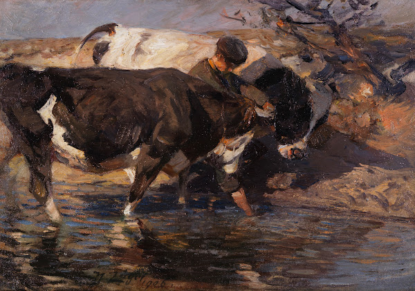 Treiber mit zwei Rindern an der Furt 1906
