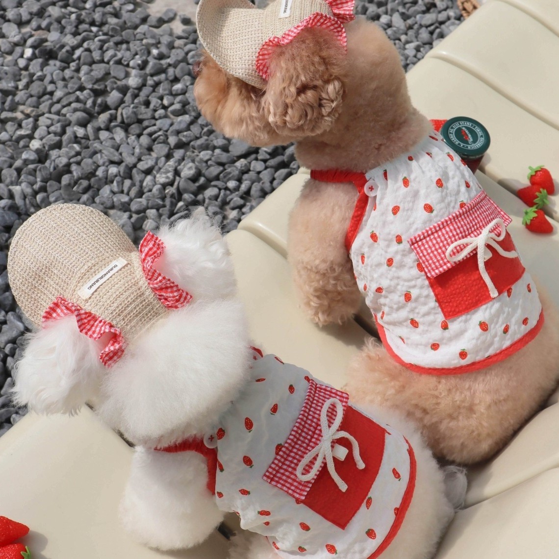 Hunde-Trägerkleid mit Hut, Sommer, 2-teilig