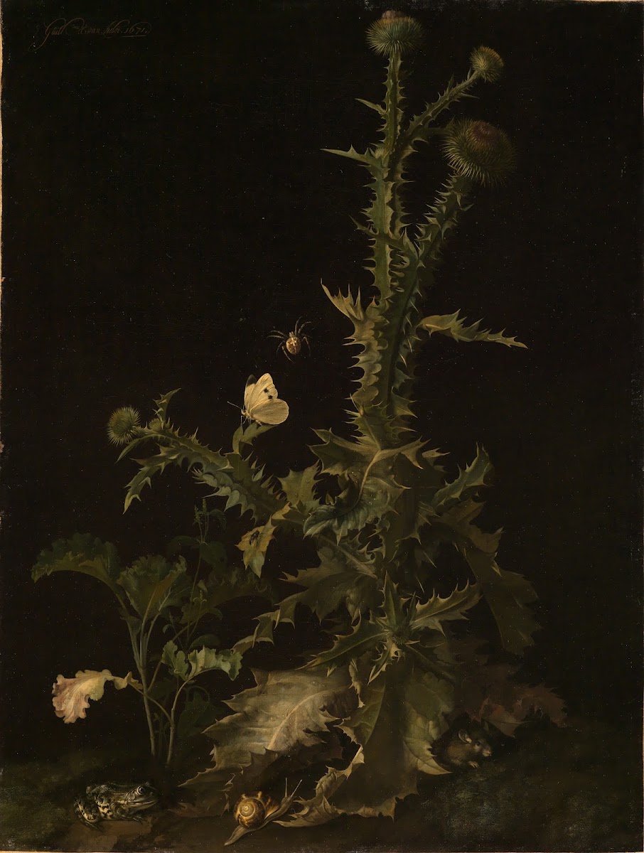 Distel mit verschiedenen Tieren 1671