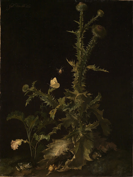 Distel mit verschiedenen Tieren 1671