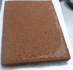 Mình dùng khuôn nhôm 32x6 cm có lót giấy nến hoặc thoa 1 ít dầu ăn quanh khuôn. Cho hỗn hợp bông lan đã đánh vào từ từ. Nướng lò gia đình nhiệt độ 150-160 độ C, thời gian nướng 40 phút. Bánh chín để nguội mới lấy ra khỏi khuôn.