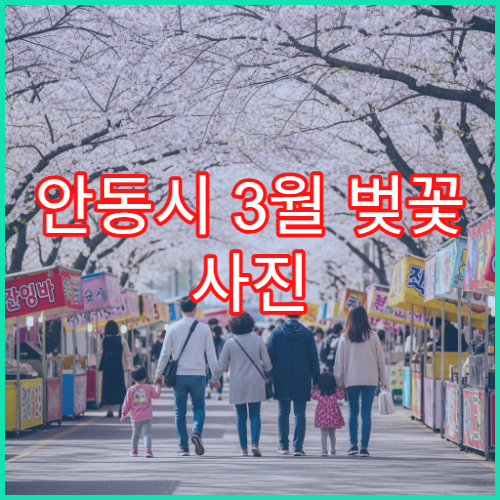 안동시 3월 벚꽃 사진 인생샷 새벽 황금 시간대 찍기