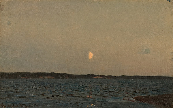 Fjordstudie 1898