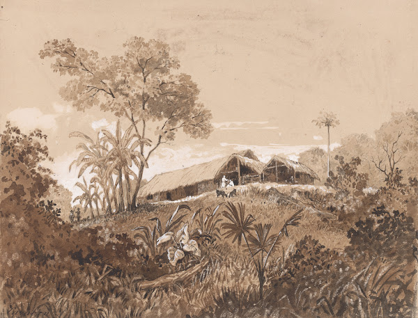 Cottage at Tamana
