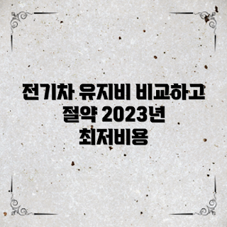 전기차유지비비교, 전기차 비용, 초보 전기차 운전자, 경제적인 전기차, 2023 전기차 유지비