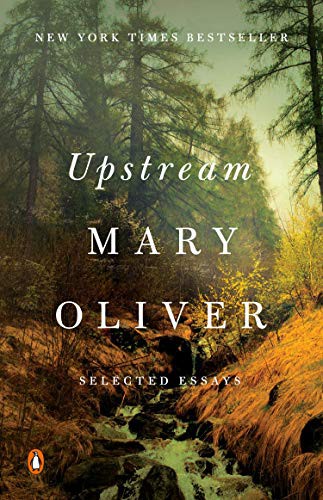 The flat front book cover for Upstream