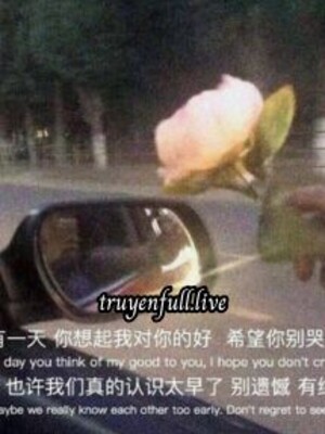 Sáu Năm Chờ Đợi, Một Đời Để Thương
